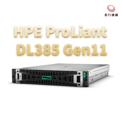 HPE ProLiant DL385 Gen11 เซอร์เวอร์การเก็บของเรคที่ปลอดภัยและมีพลังในการแปลงดิจิตอล
